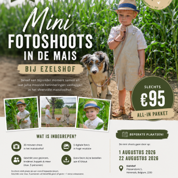 minishoot 1-8-2026